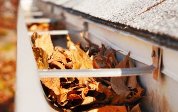 Radmore Wood gutter cleaning companies