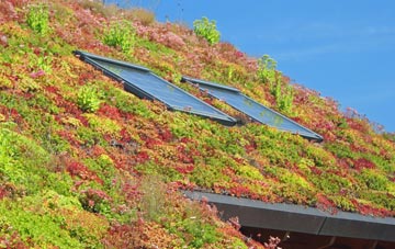 Radmore Wood living roof systems
