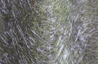 Radmore Wood fibreglass roof work